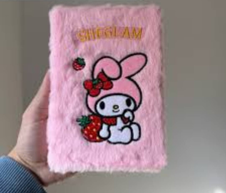 پالت کتابی سایه چشم شیگلم 5 کاره